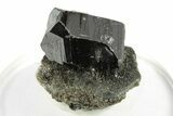 Lustrous Cassiterite Crystal - Viloco Mine, Bolivia #249642-1